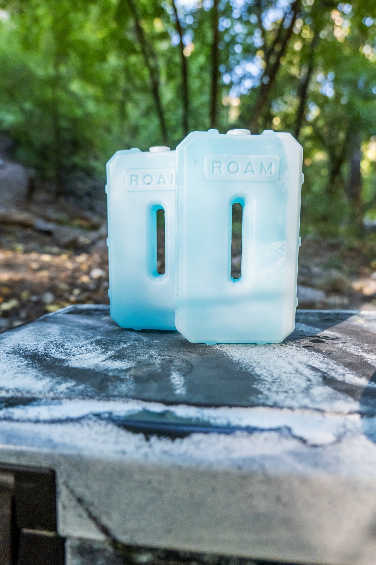 ROAM 1lb Ice Pack