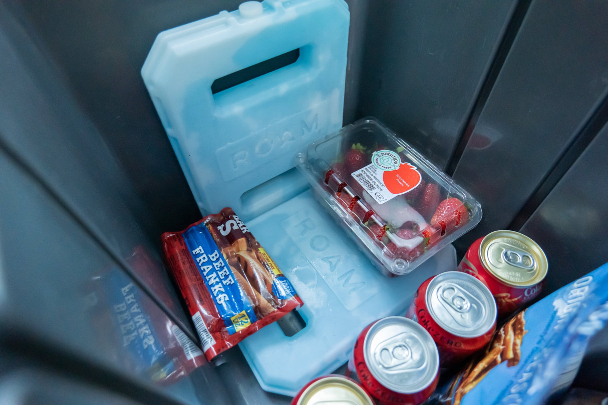 ROAM 3lb Ice Pack